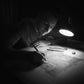 Commission | Hand Drawn DETAILED Illustration