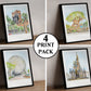 Florida ‘Park Pack’, set of 4 Art Prints